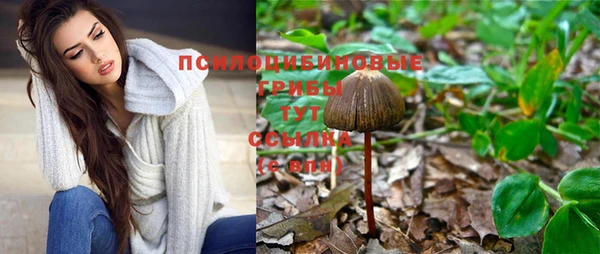 соль курить ск Наволоки