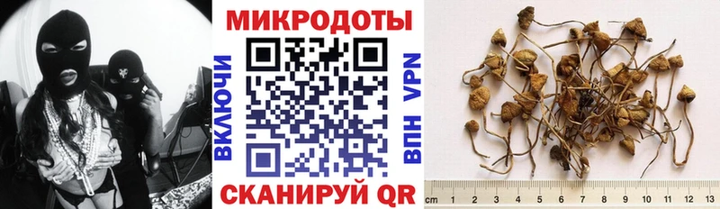 Псилоцибиновые грибы Magic Shrooms  это наркотические препараты  Курганинск 