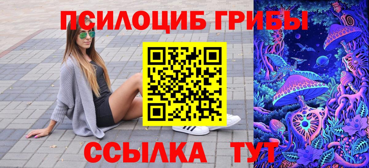 Псилоцибиновые грибы GOLDEN TEACHER Курганинск