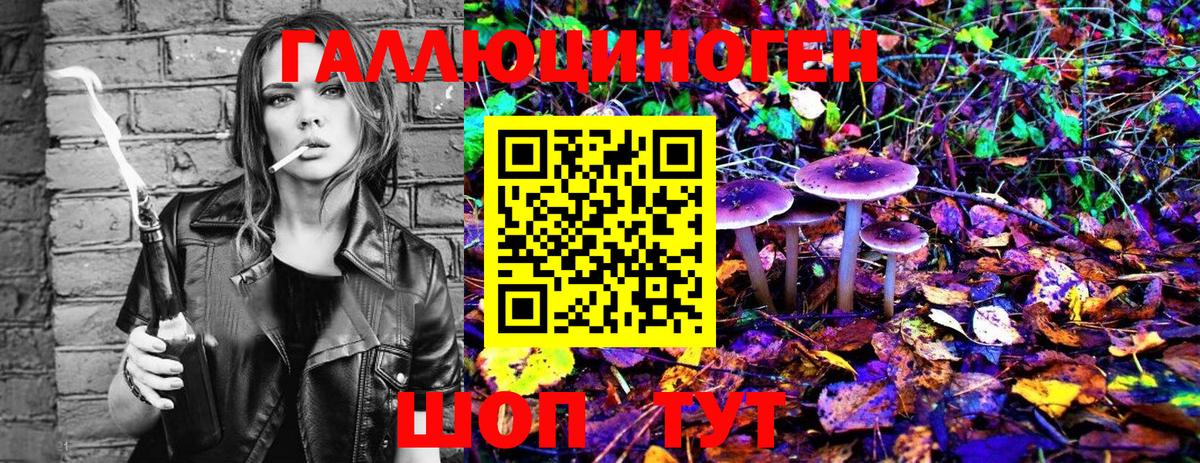 сколько стоит  Псилоцибиновые грибы мицелий  Курганинск  Псилоцибиновые грибы мухоморы 