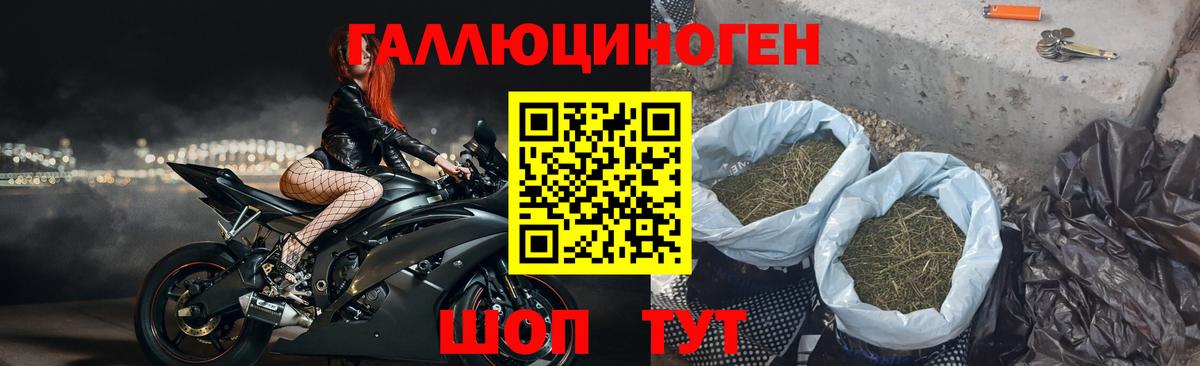 Курганинск  Галлюциногенные грибы мицелий  сколько стоит  Вход с VPN 
